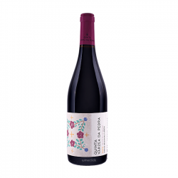 Quinta Várzea da Pedra Tinto 2023